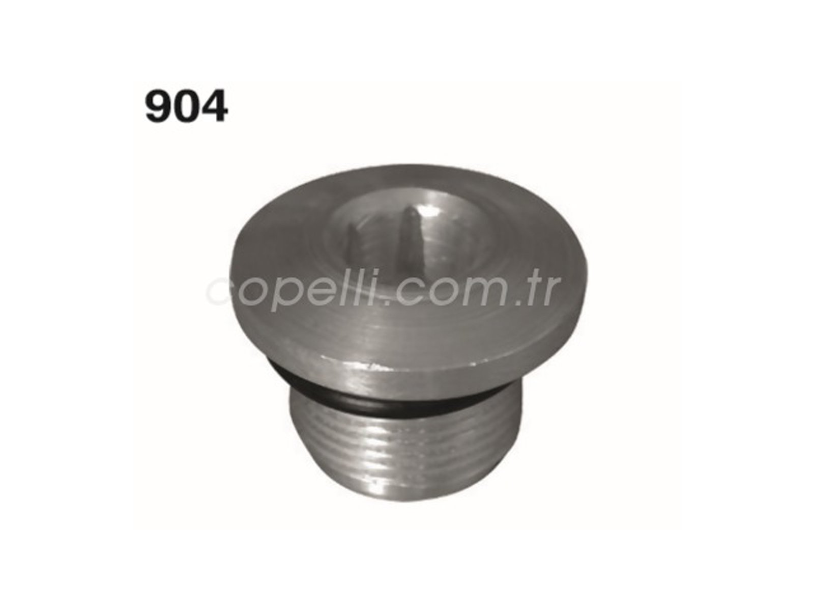 46437207A - (A-6690) SILINDIR KAPAK TAPASI ORINGLI PO (PALIO)(SIENA) (PA) / AYHAN