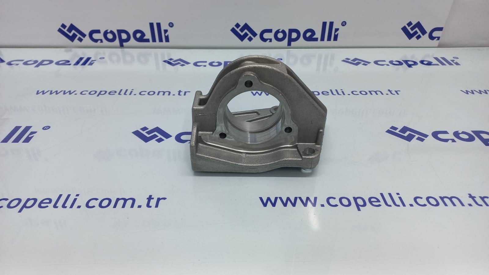 51869690PG - (AKT001)AKS TASIYICI ORTA FIAT DOBLO 1.3 MJT 2001-2010 ALBEA 1.3 MJT 2003-2007 / PUGA