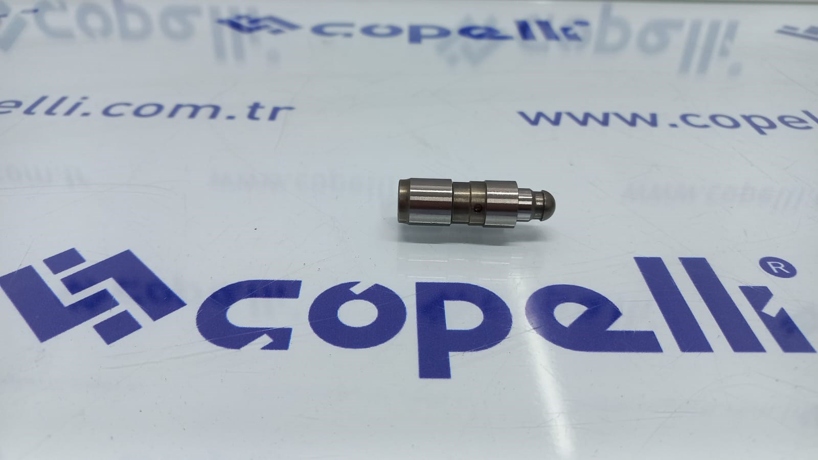 420009910 - SUBAP ITICI MEGANE II LAGUNA II K4M / INA