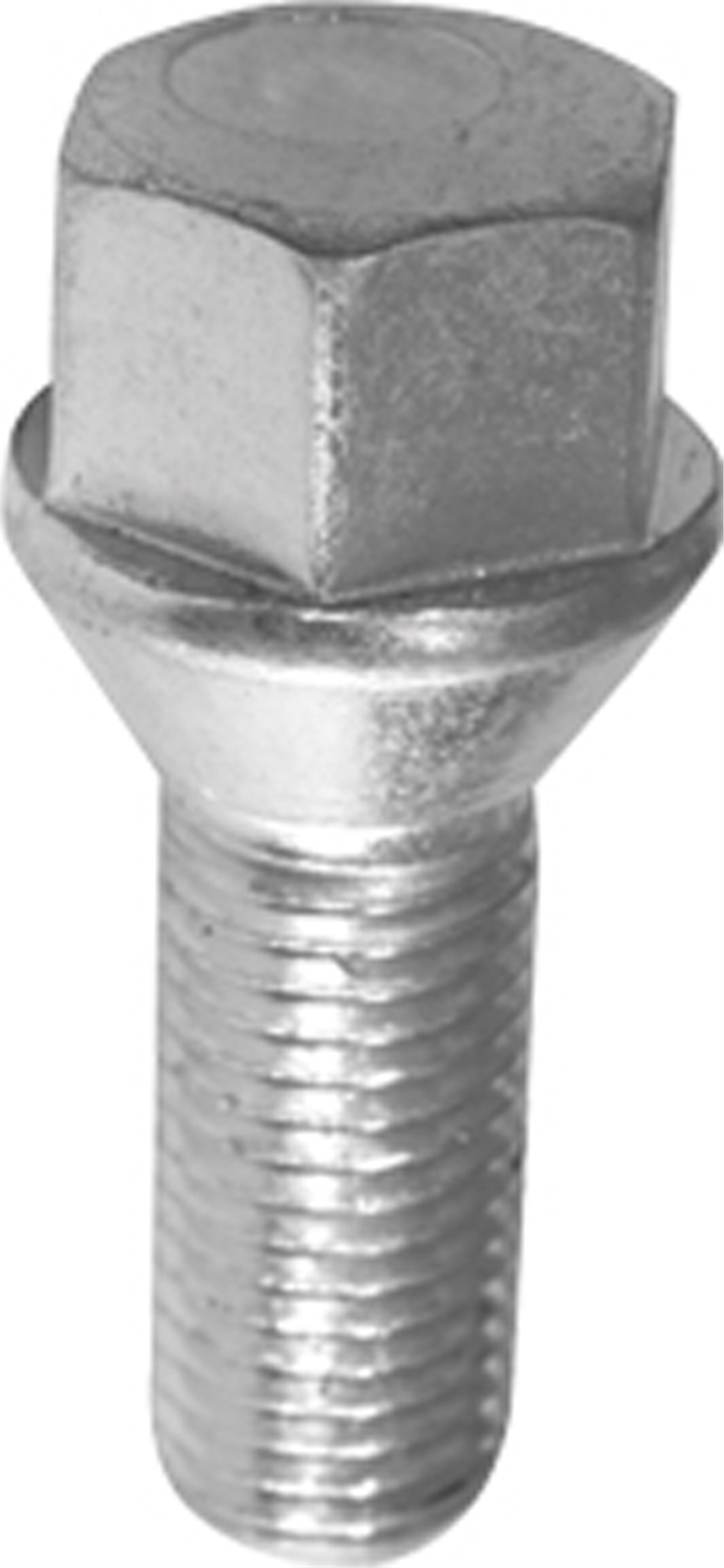 A-1158 - CLIO MEGANE BIJON CIVATASI KROMAJLI YM (KUTU:25) 8200473353 / AYHAN