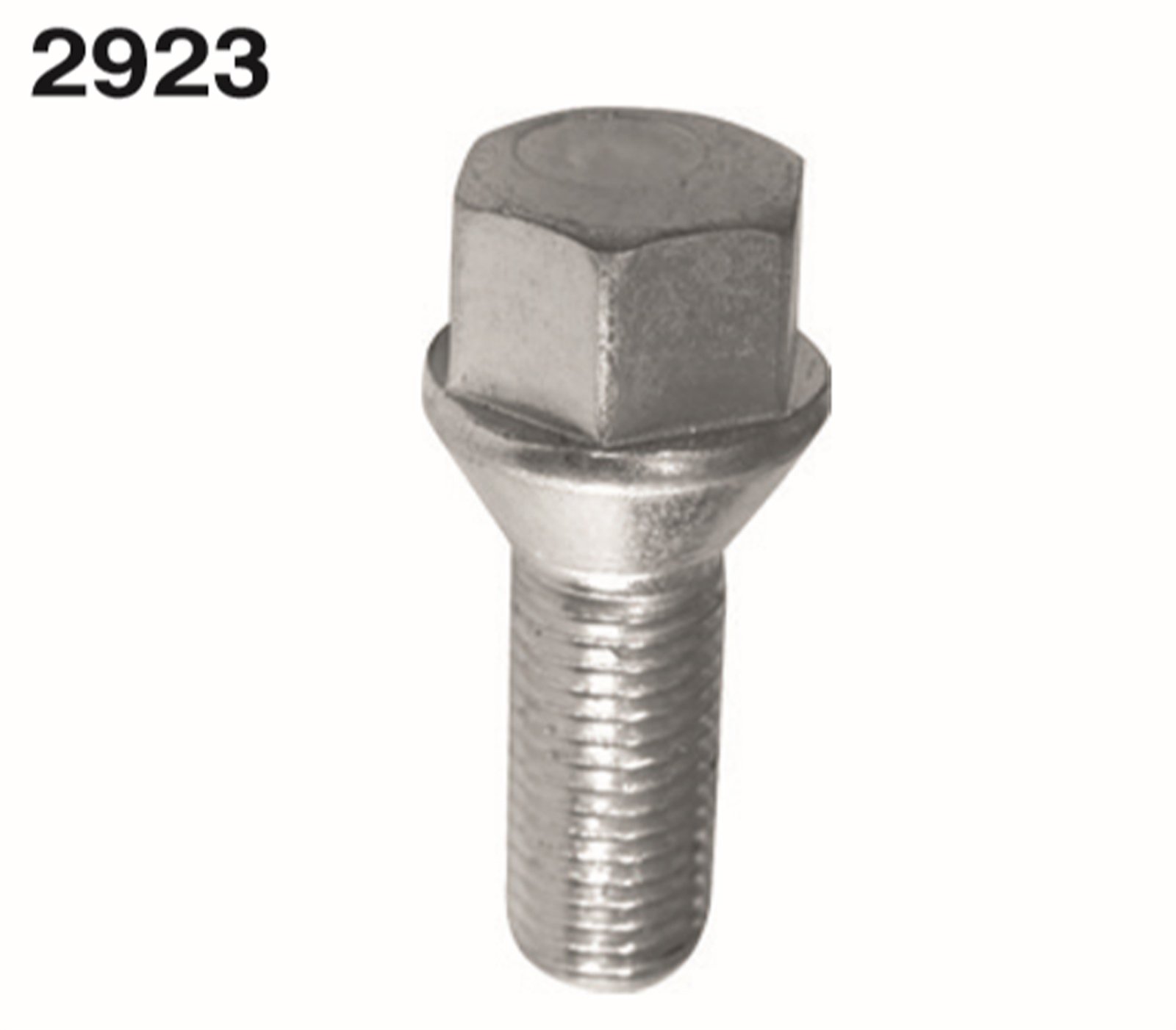 A-1158 - CLIO MEGANE BIJON CIVATASI KROMAJLI YM (KUTU:25) 8200473353 / AYHAN