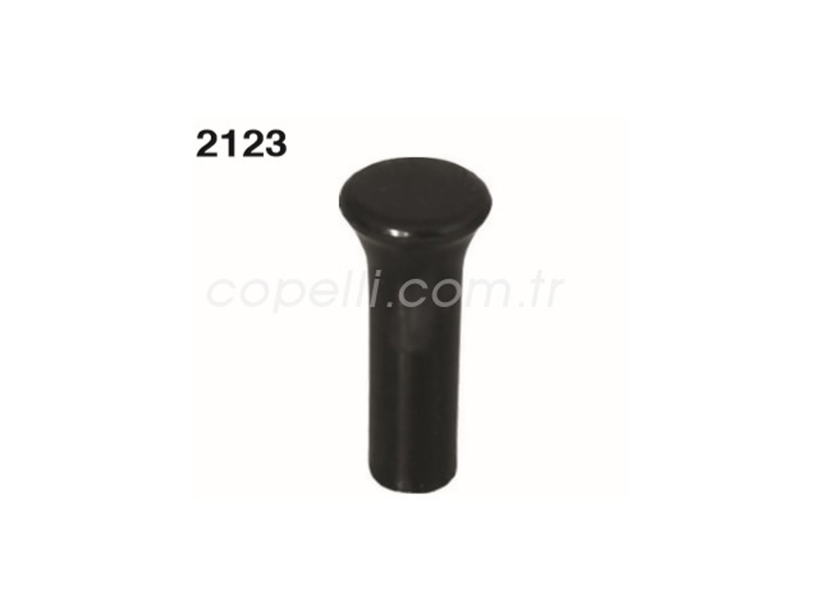 4239710A - (A-6654)BUTON,KAPI KILIT EKS (SERCE KARTAL SAHIN) / AYHAN