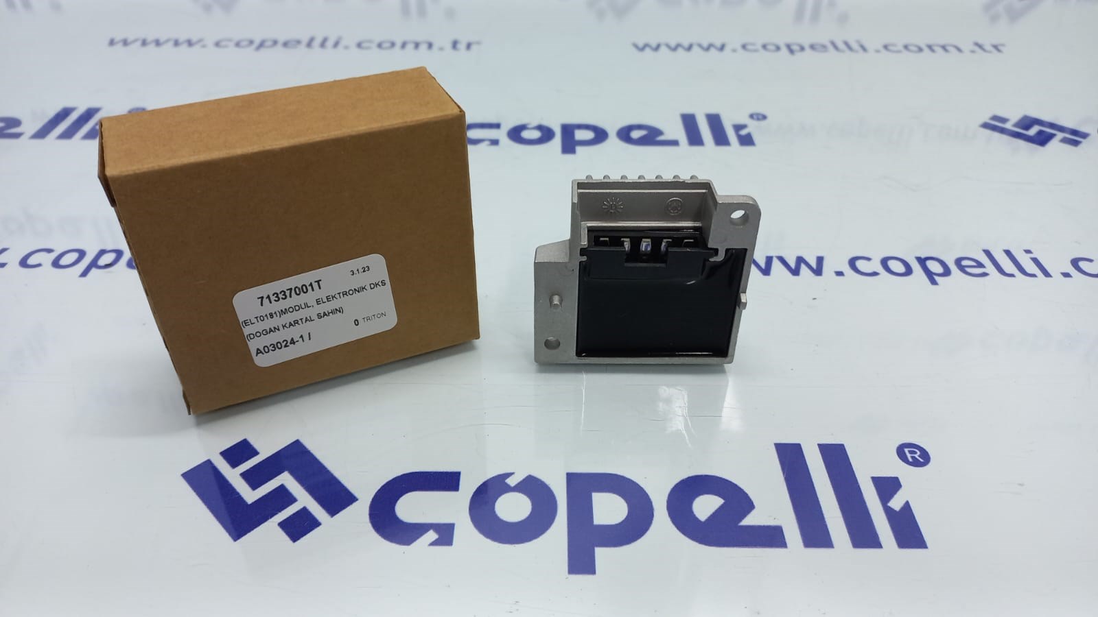 71337001T - (ELT0181)MODUL, ELEKTRONIK DKS (DOGAN KARTAL SAHIN) / TRITON