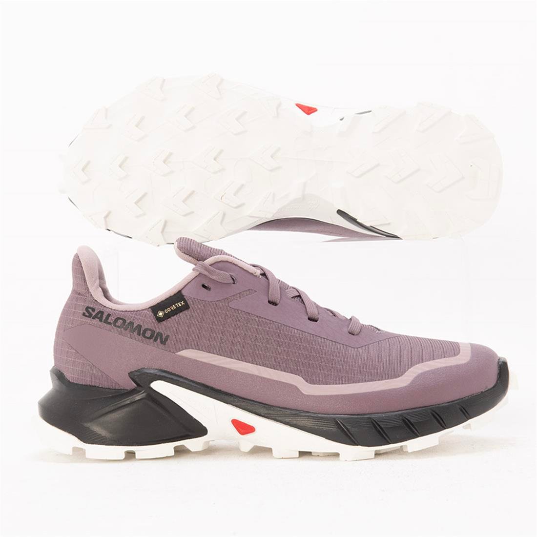 Salomon Alphacross 5 Gtx Outdoor Kadın Ayakkabı L473110