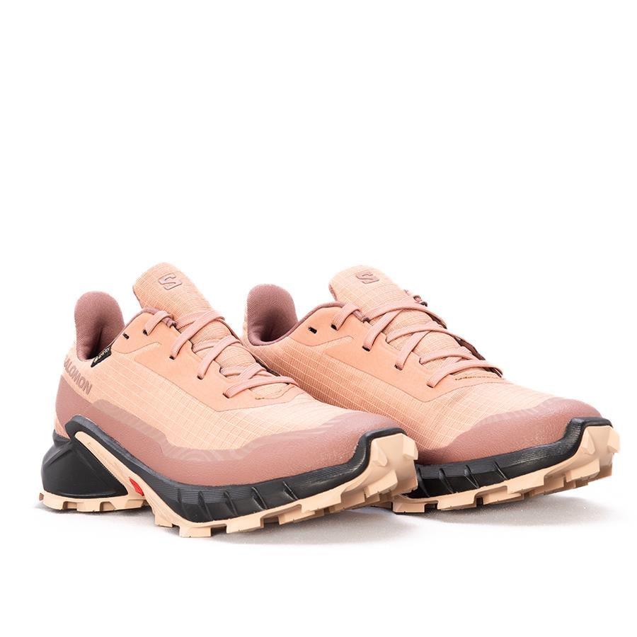 Salomon Alphacross 5 Gtx W Kadın Outdoor Ayakkabı L475951
