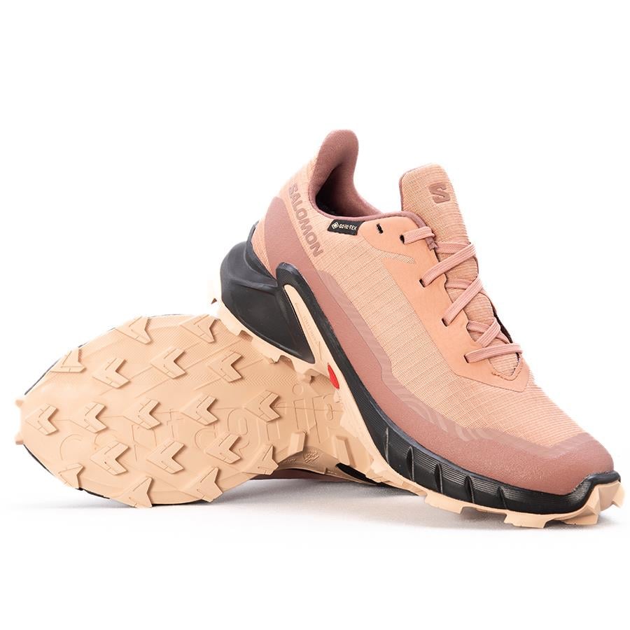 Salomon Alphacross 5 Gtx W Kadın Outdoor Ayakkabı L475951