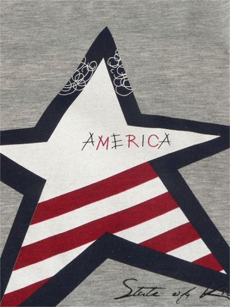 State of Kids America Sweatshirt Gri