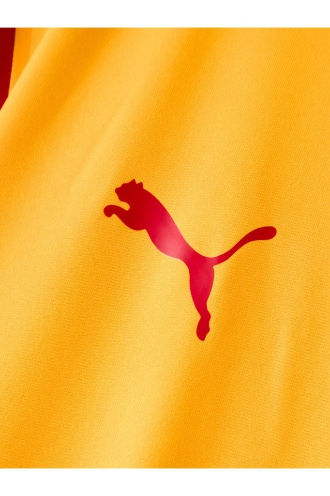  GALATASARAY 78499601 GSK27 HOME FAN JRSY JR YELLOW RED ÇOCUK FORMA