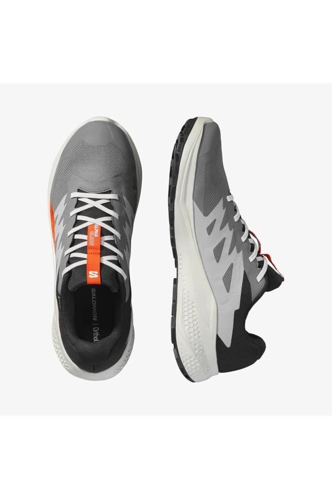 SALOMON ALPHAGLIDE GORE-TEX CASRLEROCK LUNAR ROCK ERKEK KOŞU/SPOR AYAKKABISI