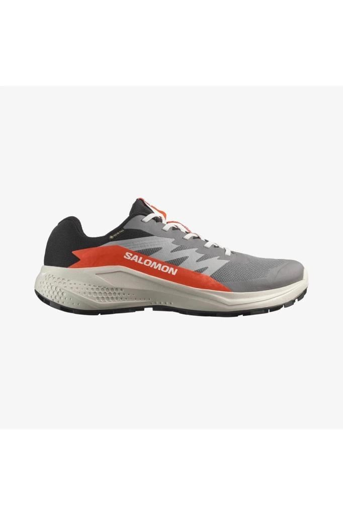 SALOMON ALPHAGLIDE GORE-TEX CASRLEROCK LUNAR ROCK ERKEK KOŞU/SPOR AYAKKABISI