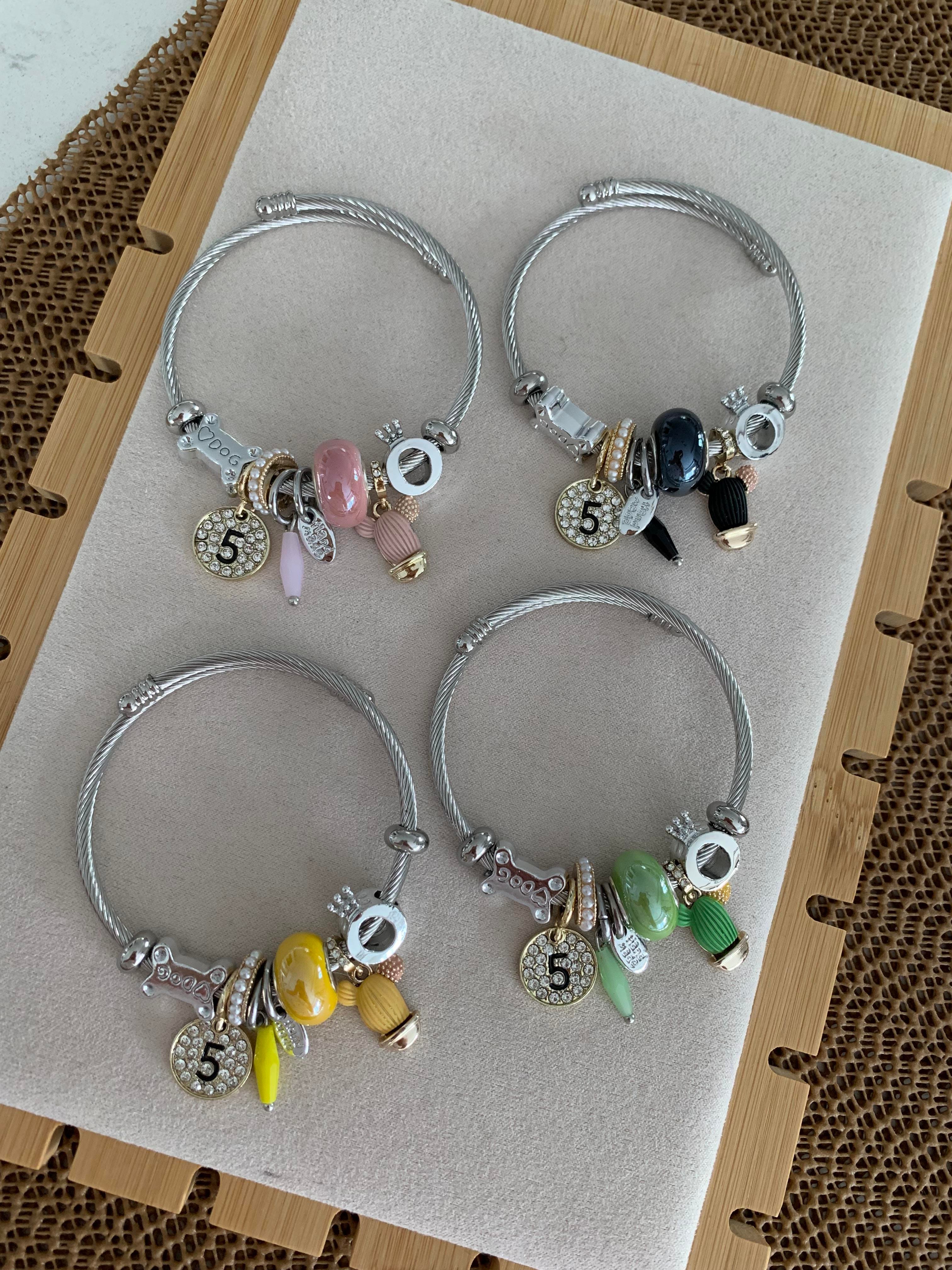 Özel Seri Gümüş Para Charm Bilezik