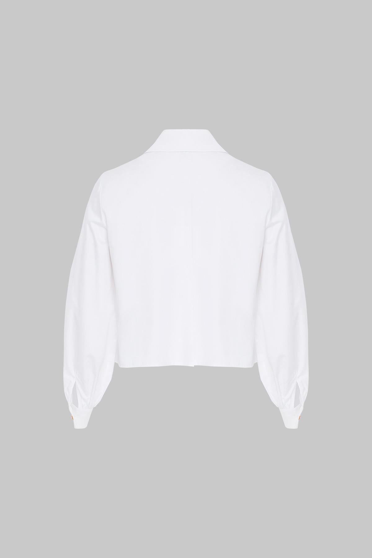  Flywheel Detailed Design Poplin Green Shirt