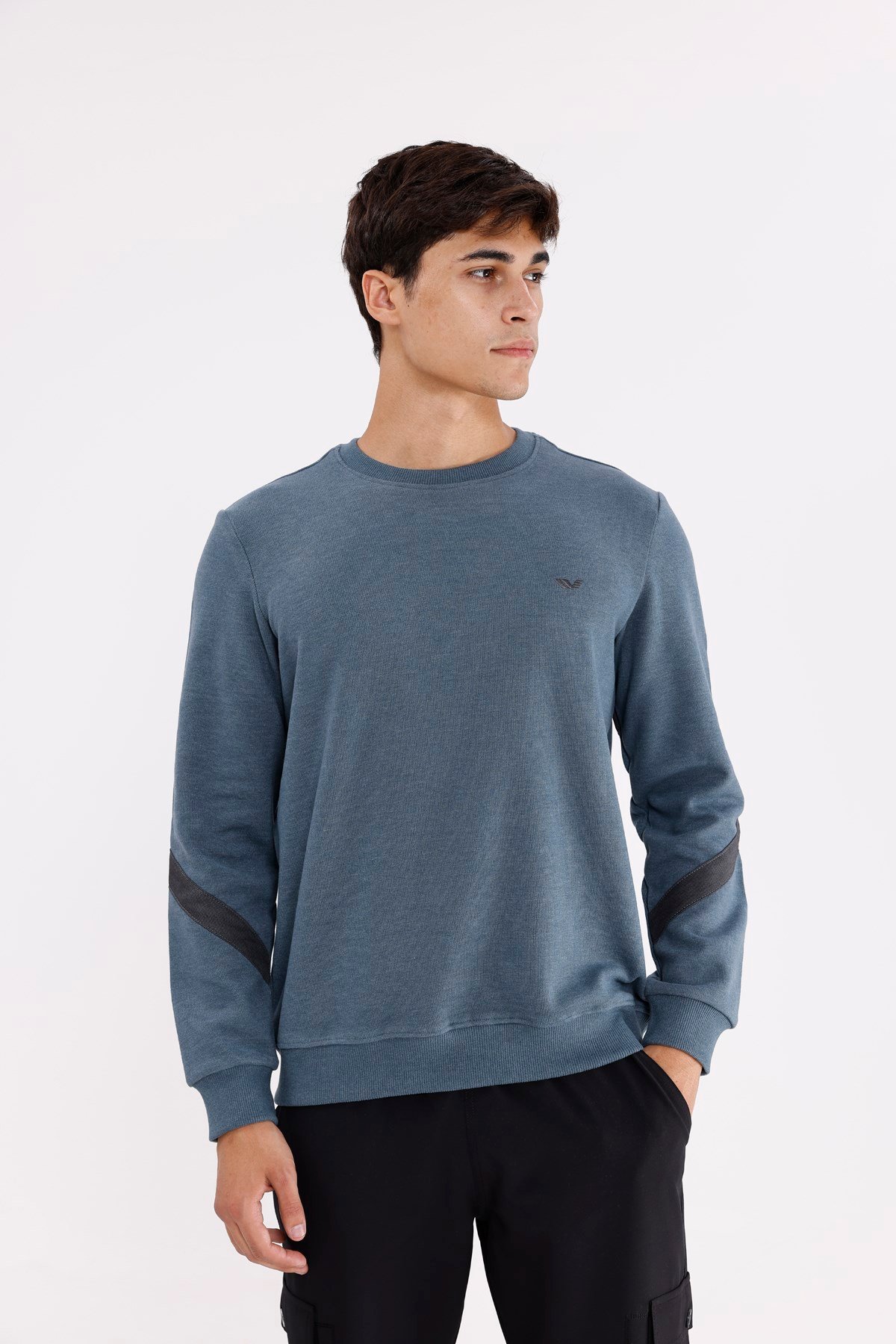 Kol Şerit Detaylı Yuvarlak Yaka Göğüs Logolu Rahat Kalıp Mevsimlik Sweatshirt