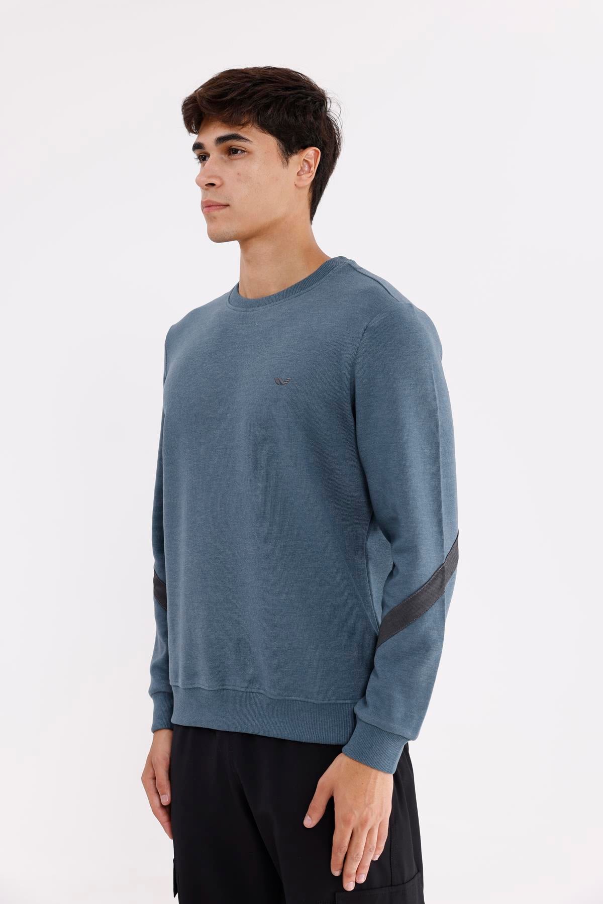 Kol Şerit Detaylı Yuvarlak Yaka Göğüs Logolu Rahat Kalıp Mevsimlik Sweatshirt
