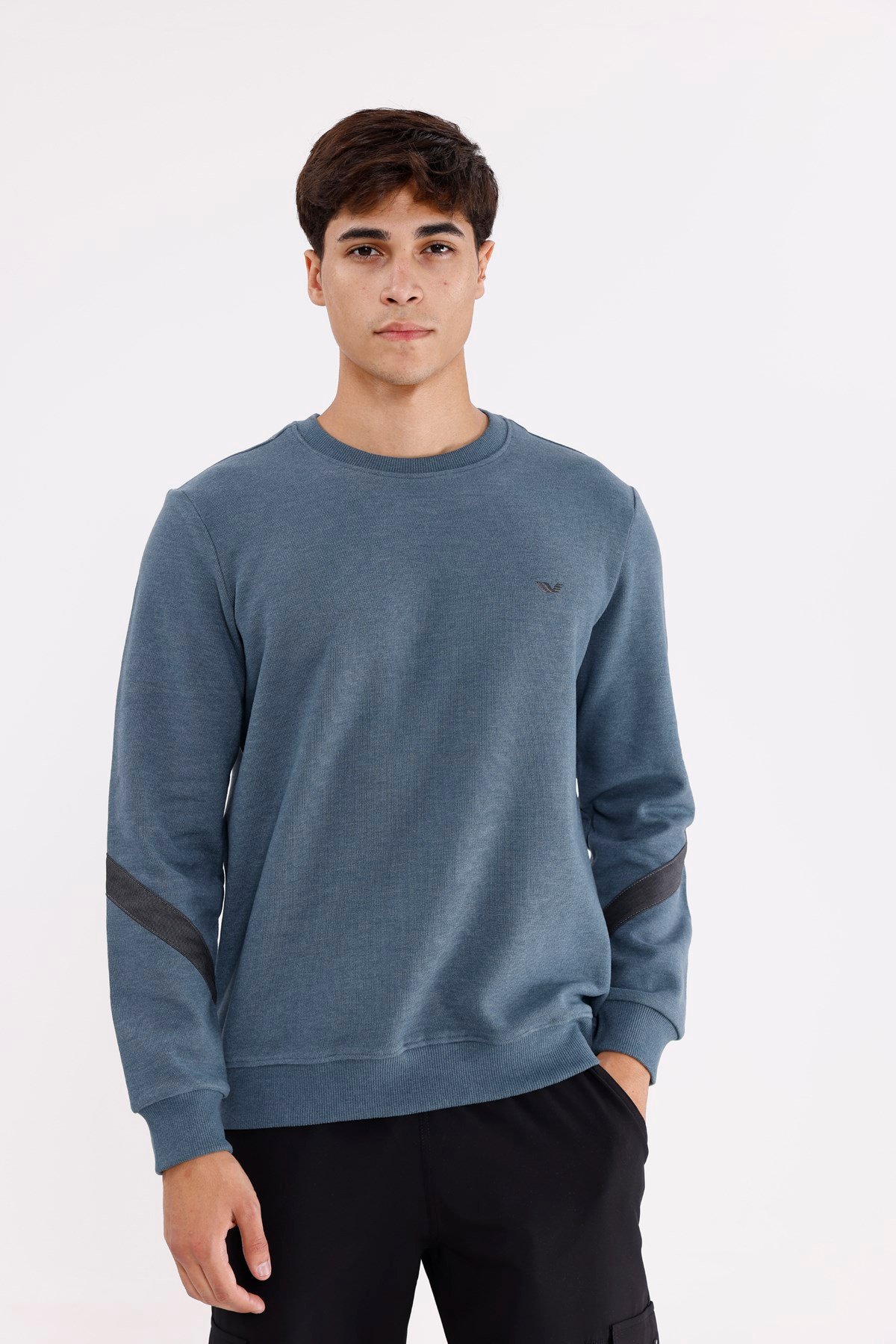 Kol Şerit Detaylı Yuvarlak Yaka Göğüs Logolu Rahat Kalıp Mevsimlik Sweatshirt