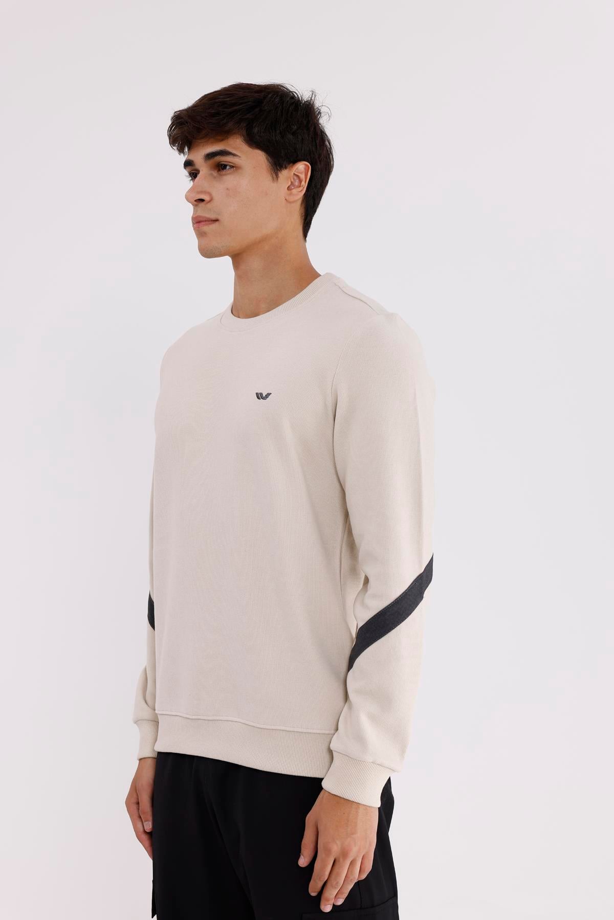 Kol Şerit Detaylı Yuvarlak Yaka Göğüs Logolu Rahat Kalıp Mevsimlik Sweatshirt