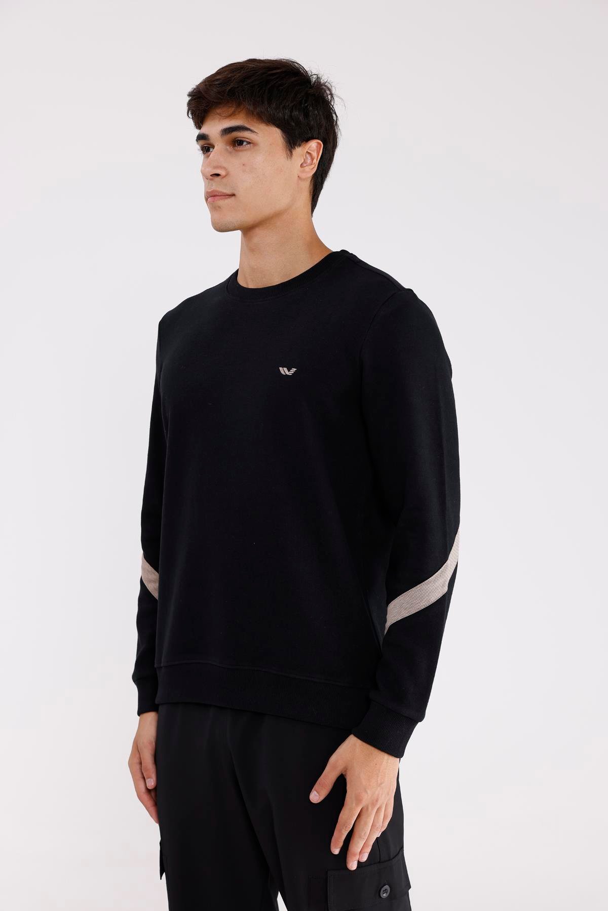 Kol Şerit Detaylı Yuvarlak Yaka Göğüs Logolu Rahat Kalıp Mevsimlik Sweatshirt