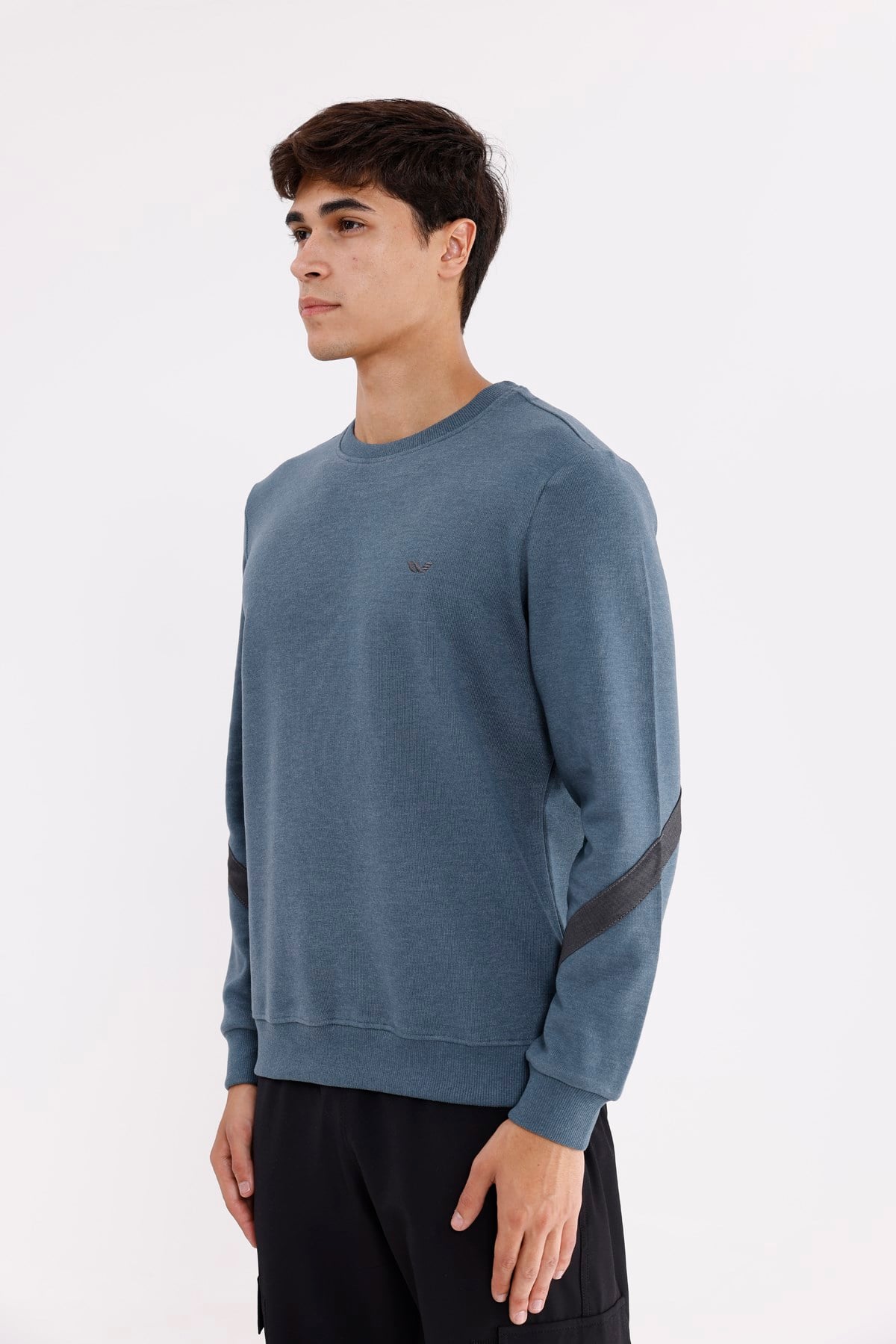 Kol Şerit Detaylı Yuvarlak Yaka Göğüs Logolu Rahat Kalıp Mevsimlik Sweatshirt