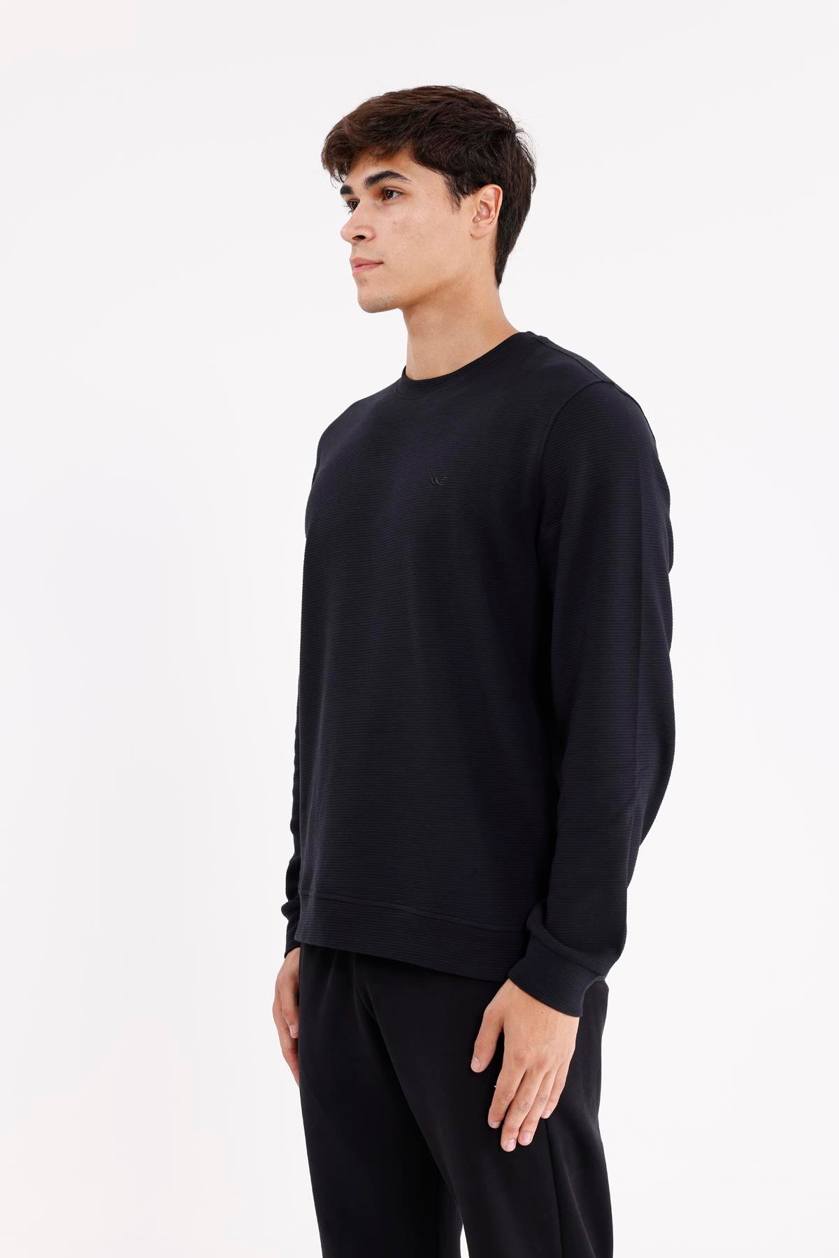 Yatay Dokulu Ottoman Yüzey Tonal Logo Detaylı Bisiklet Yaka Standart Kalıp Sweatshirt