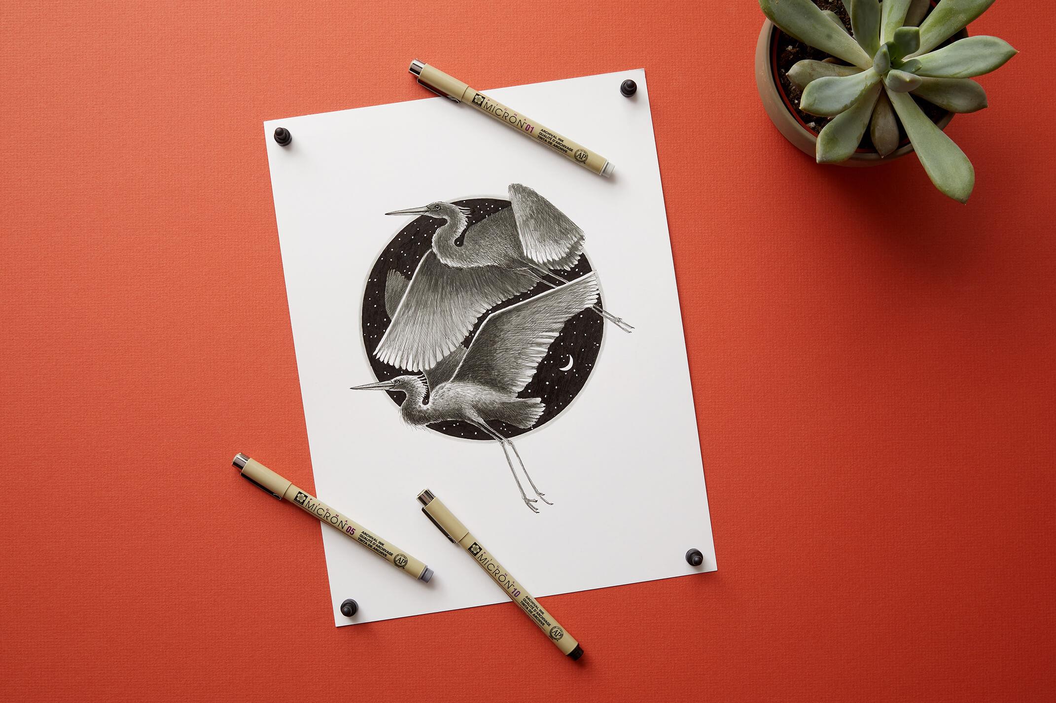 Sakura Pigma Micron Kalem Teknik Çizim Kalemleri