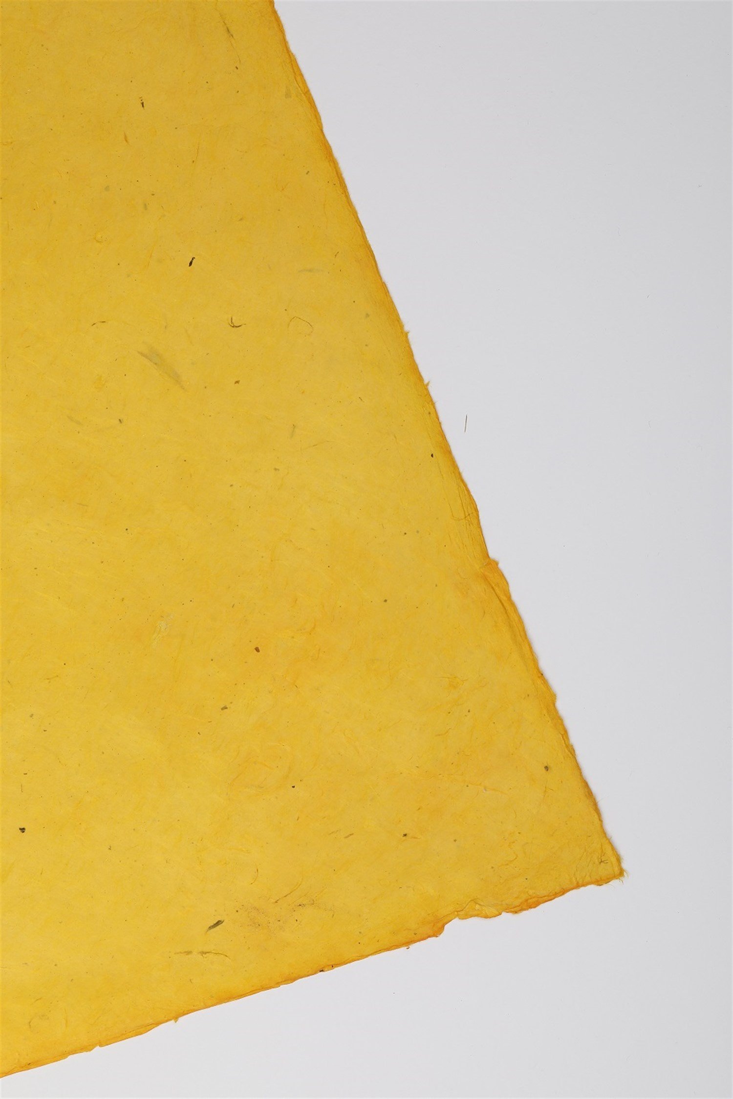 Tiryakiart El Yapımı Asitsiz Nepal Kağıdı 12 Tiger Yellow