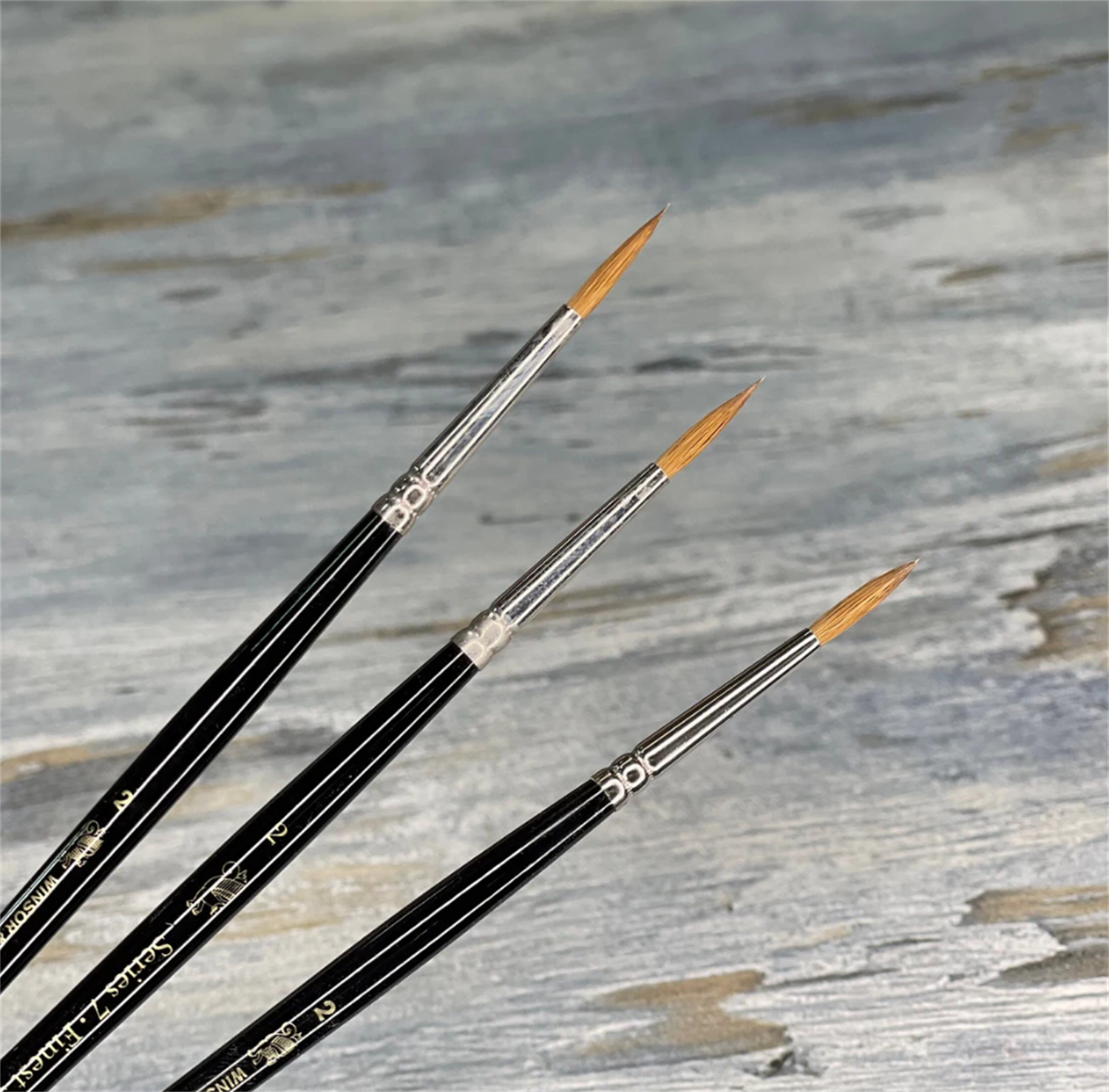 Winsor Newton Kolinsky Samur 7 Serisi Fırçalar