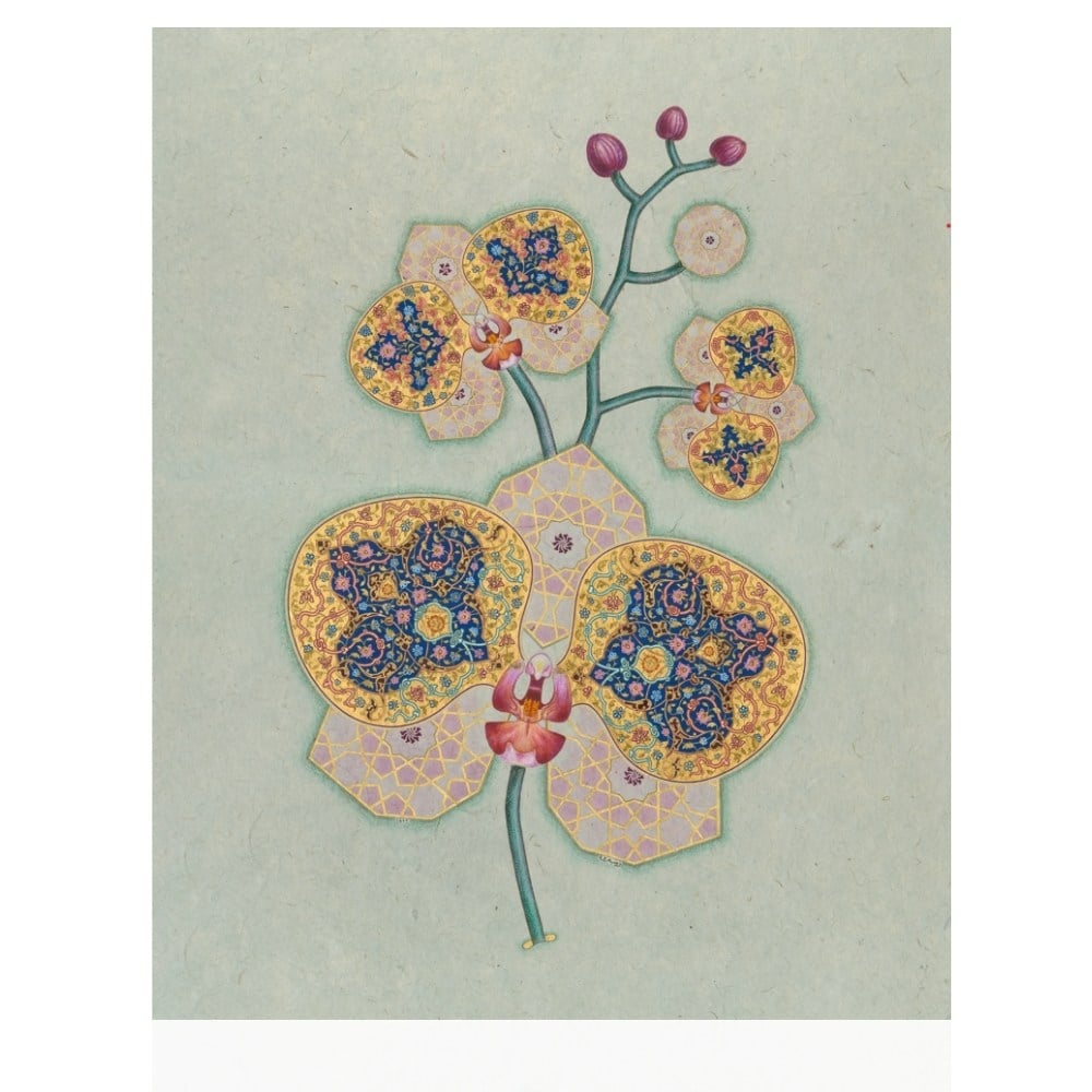 Zeynep Merve Tiryaki Fineart Baskı - Orkide