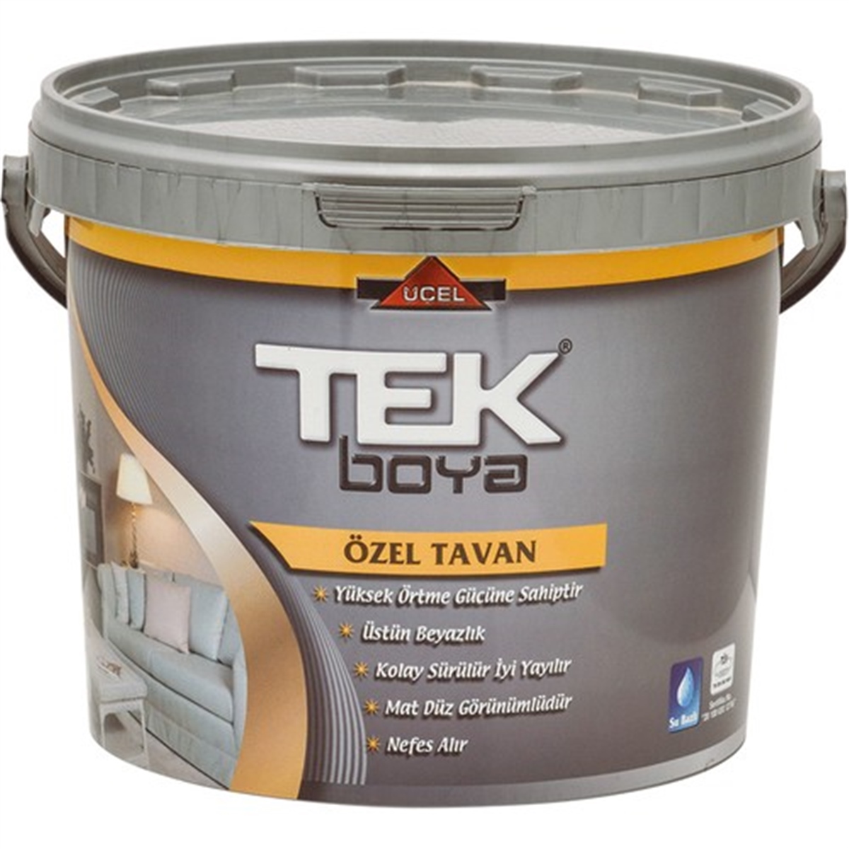 TEK TAVAN PLASTİK BOYA 3/1