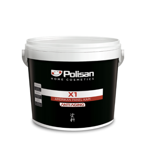 X1 Panel Kapı Boyası Beyaz 2,5 lt