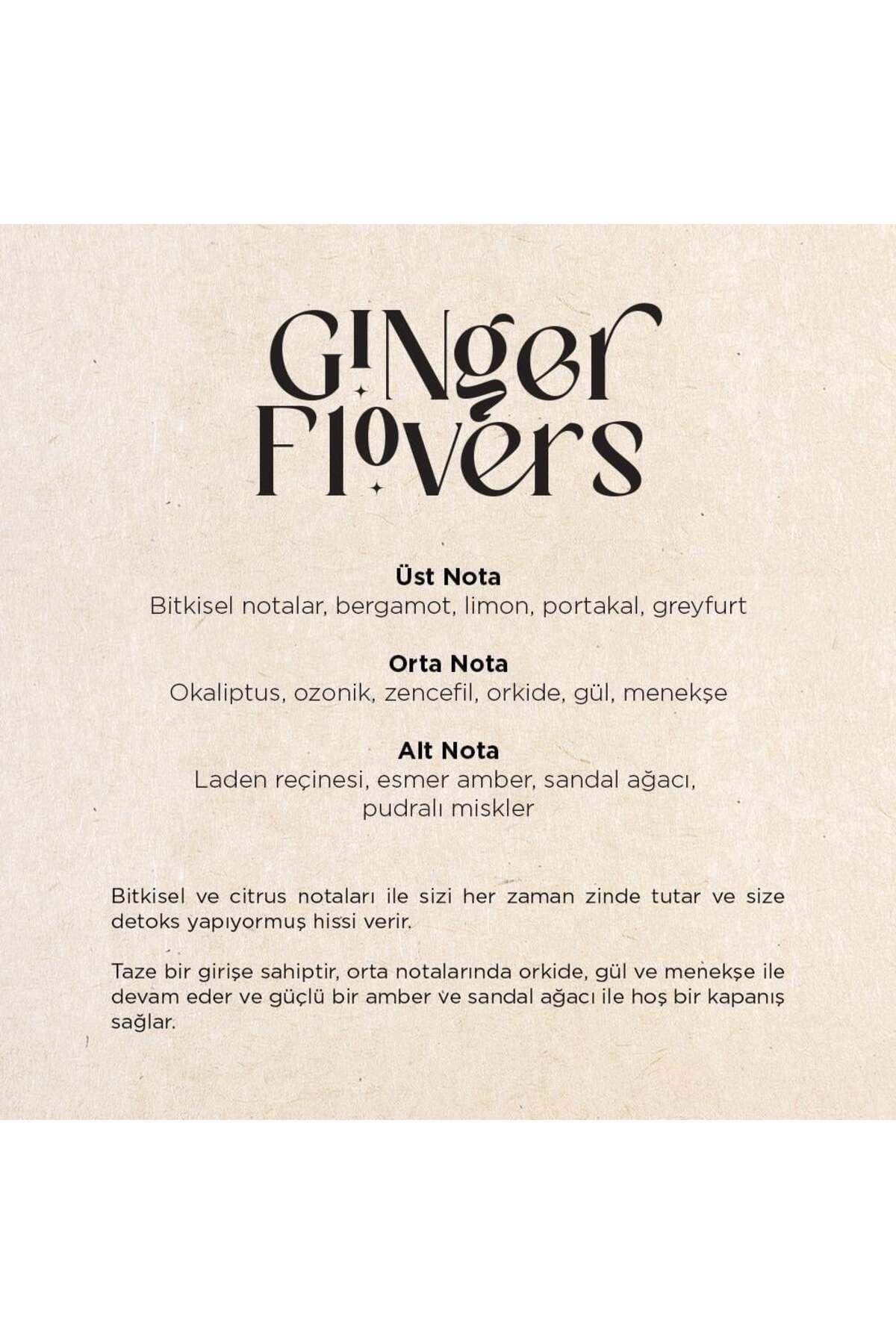 CARPEX A1 Pro 900 Koku Makinesi ve Ginger Flowers A1 Koku Kartuşu 200 ML Seti