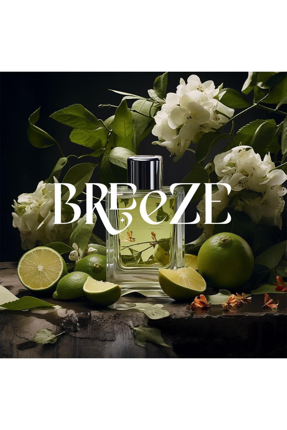 CARPEX Breeze Auramax Koku Kartuşu 250 ML