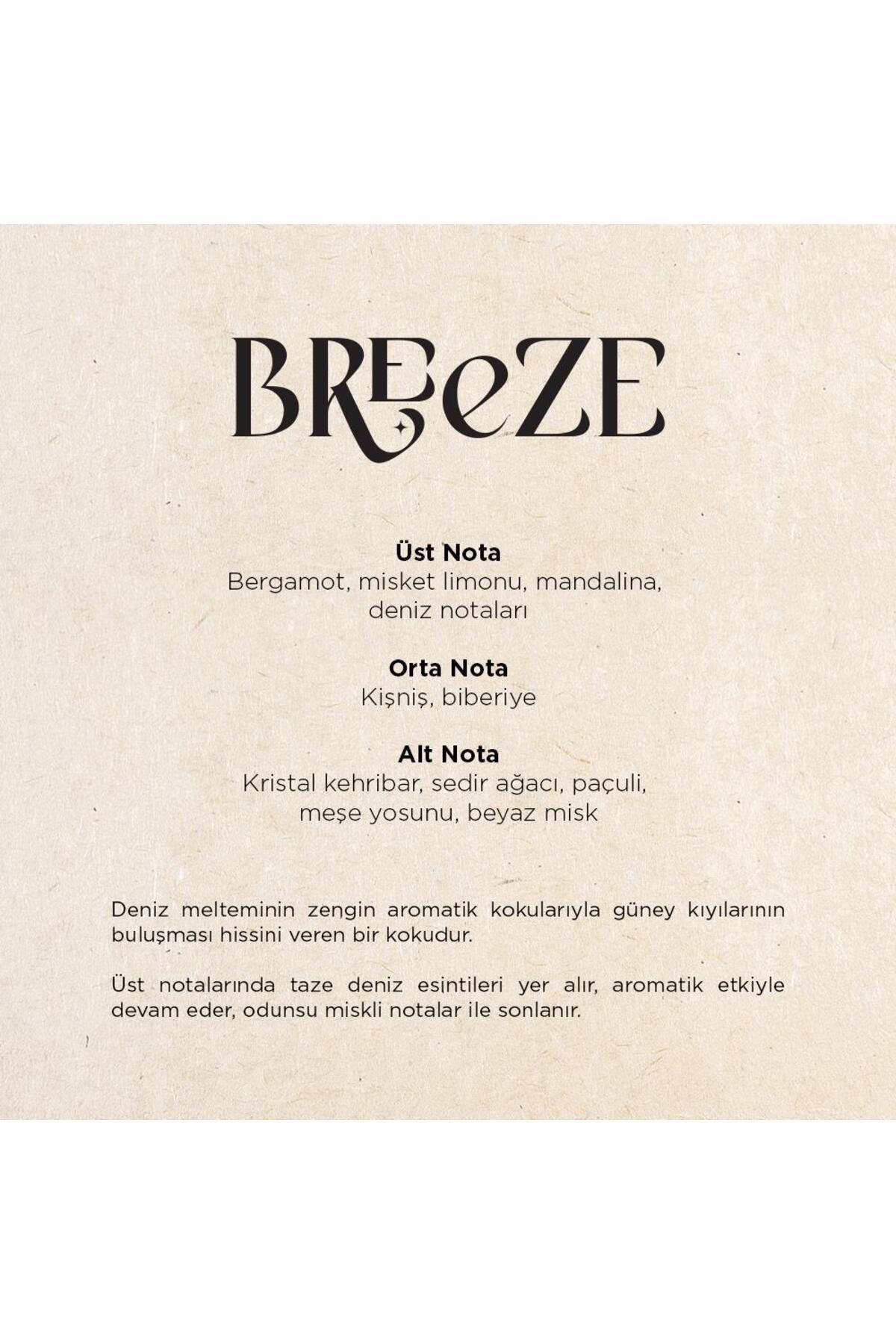 CARPEX Breeze Auramax Koku Kartuşu 250 ML