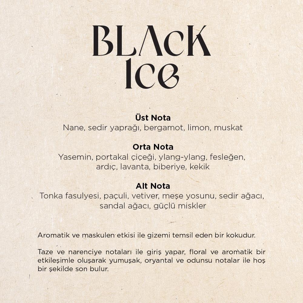 Carpex Geniş Alan Ortam Kokusu Black İce 125 Ml