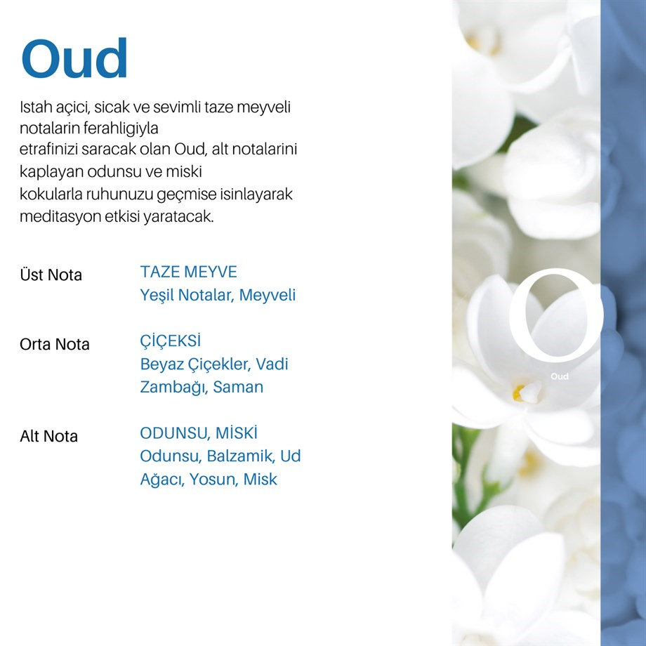 Carpex Oud E2 Power Koku Kartuşu 125 ML