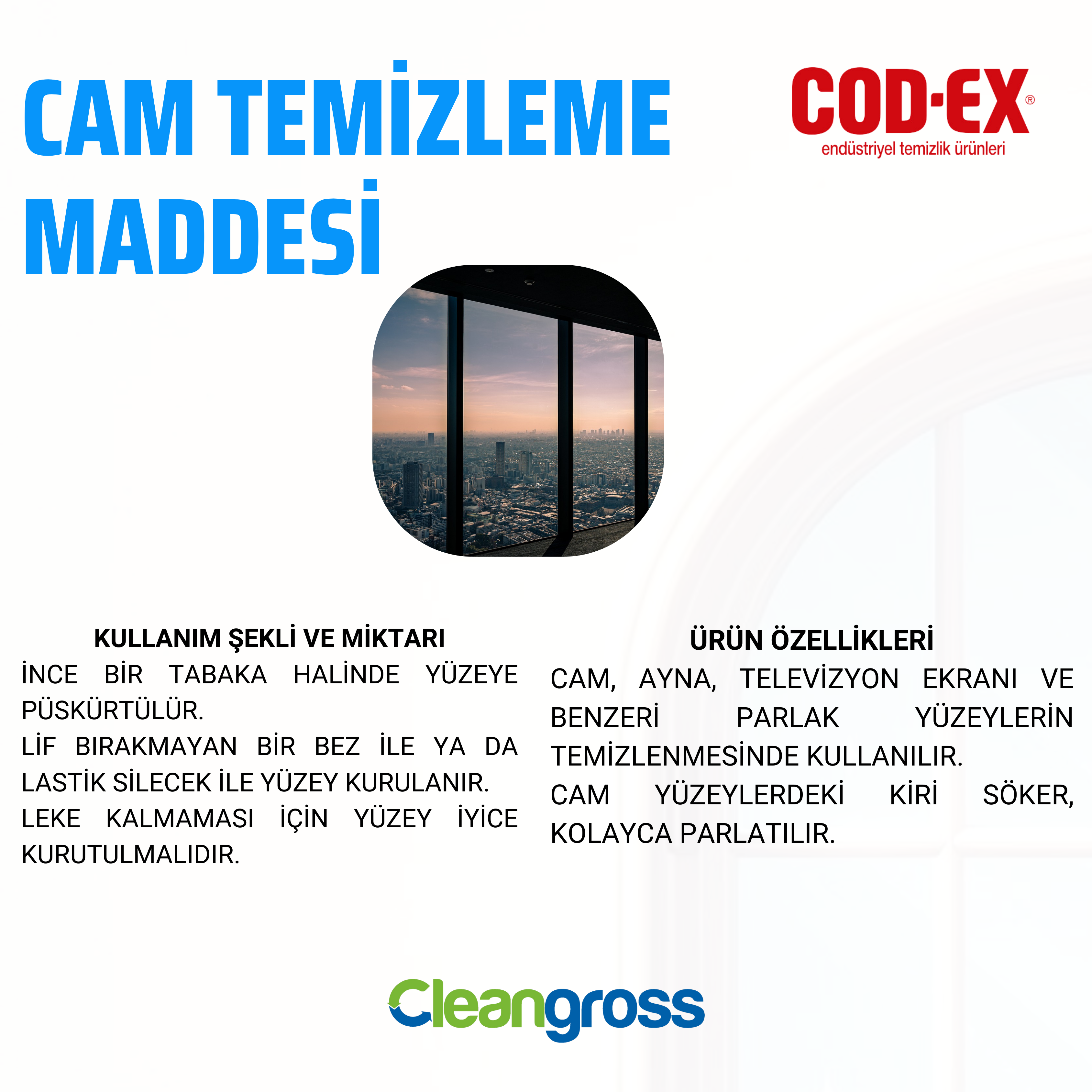 COD-EX Cam Temizleme Maddesi 4 L