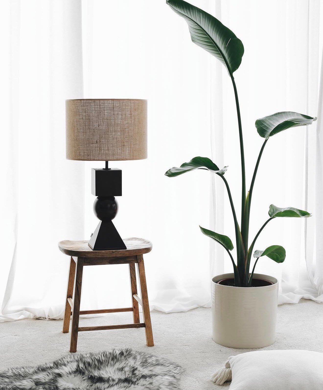 Boi Lamp