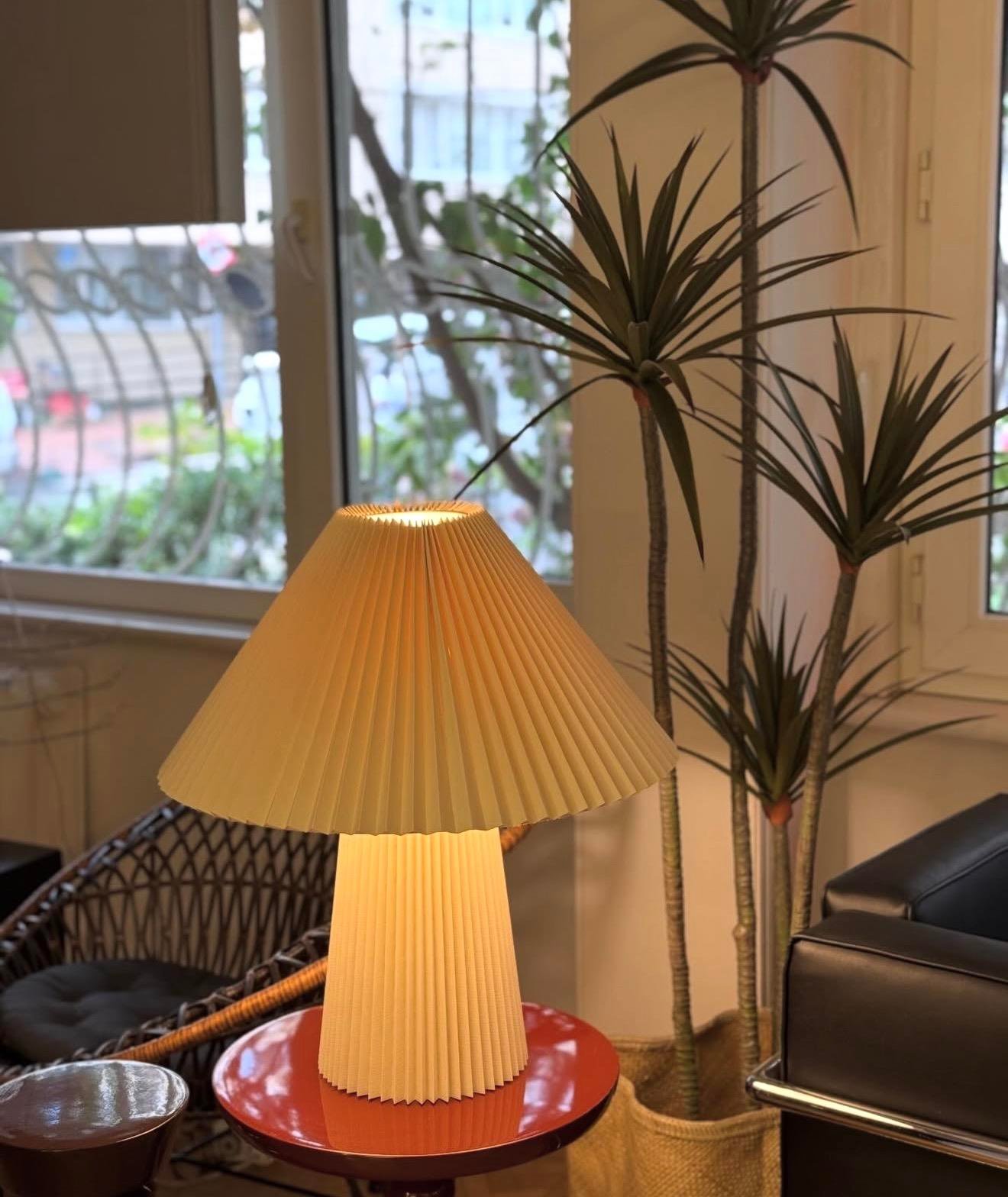 Pi El Yapımı Pilise Abajur