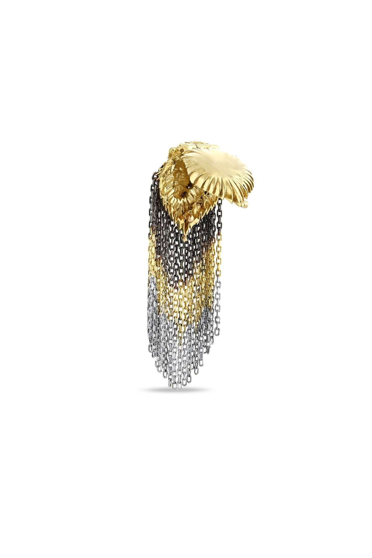 ASLAN CHARM 
