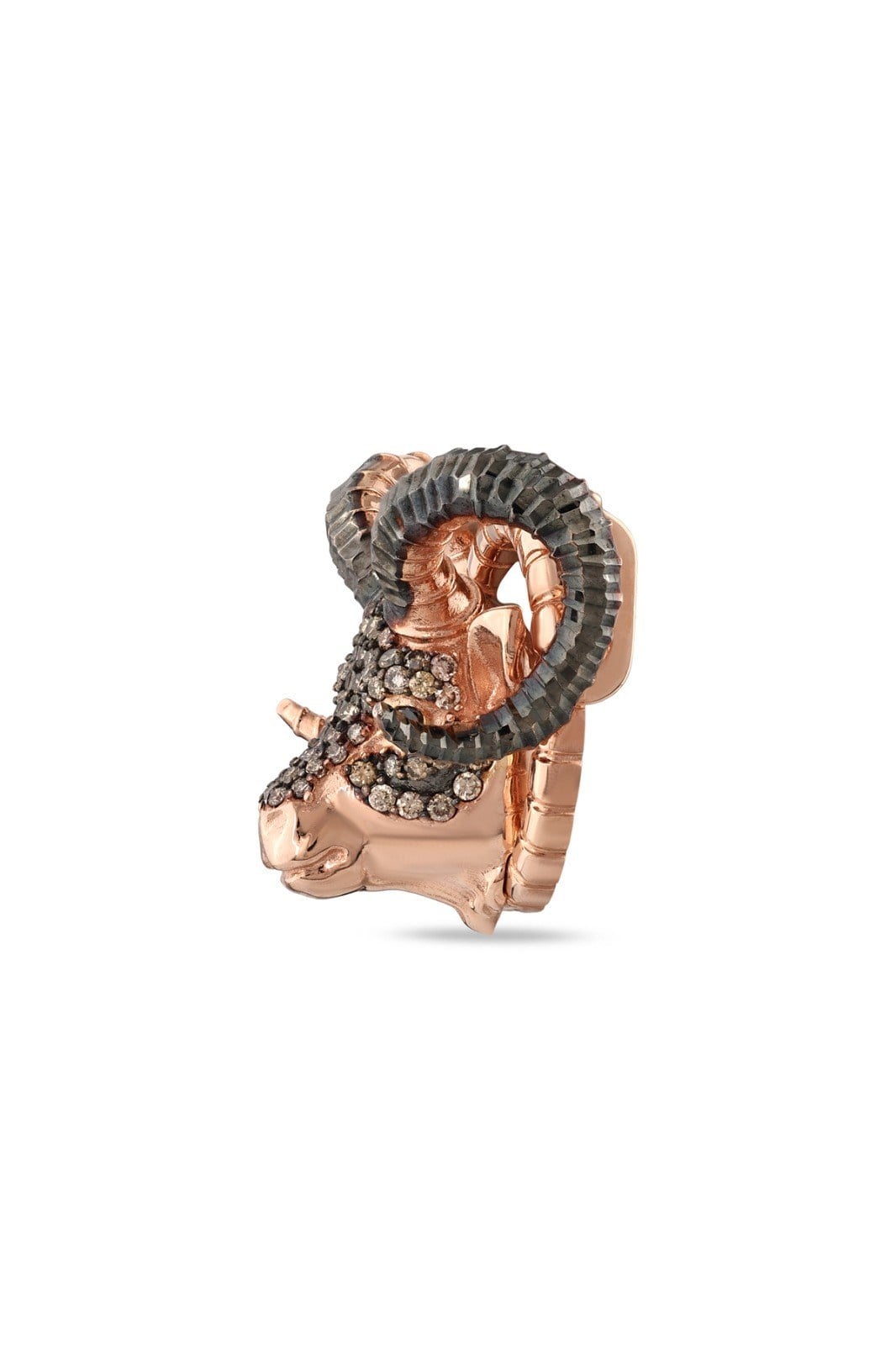 PIRLANTALI OĞLAK CHARM