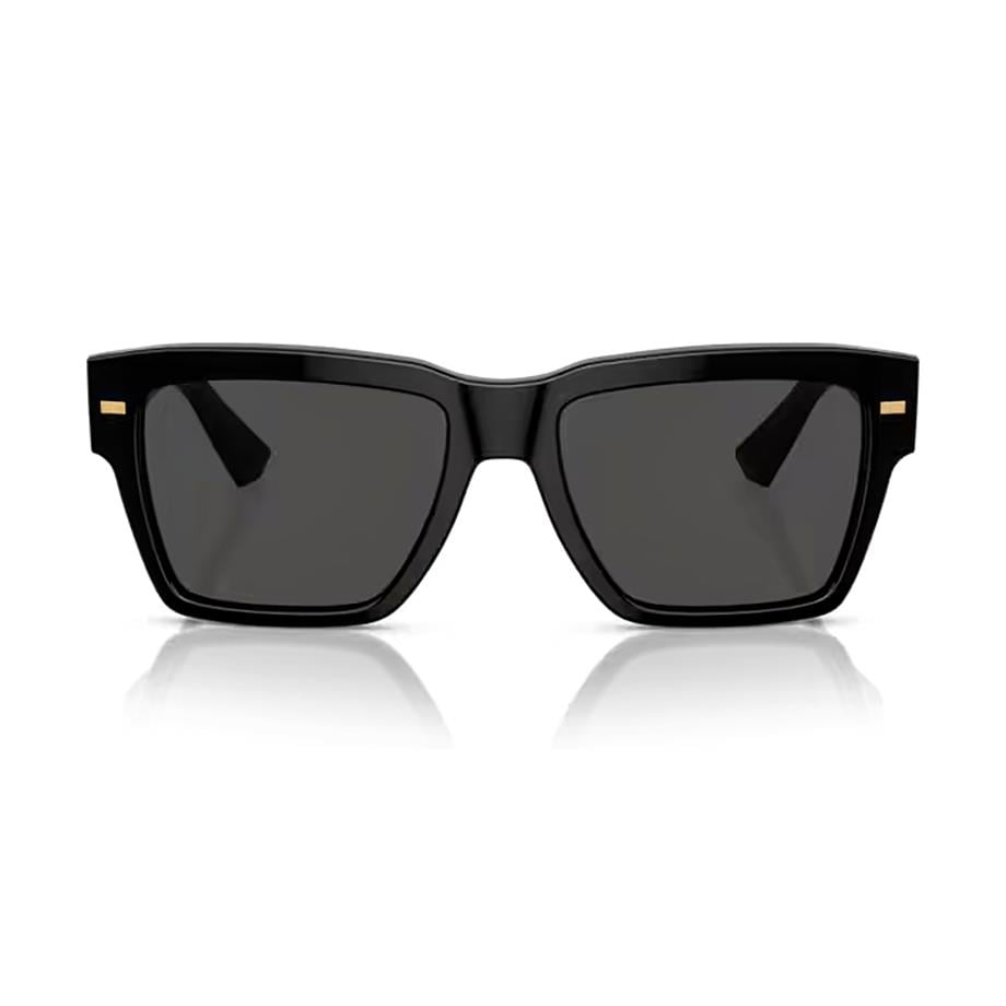 Dolce Gabbana DG 4431 50187 55 Erkek Siyah Güneş Gözlüğü
