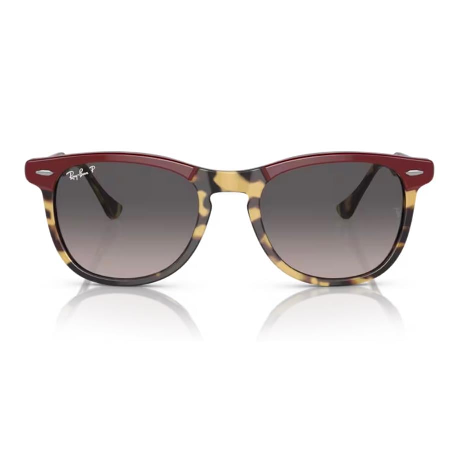 Ray-Ban RB 2398 1377M3 53 Polarize Unisex Güneş Gözlüğü