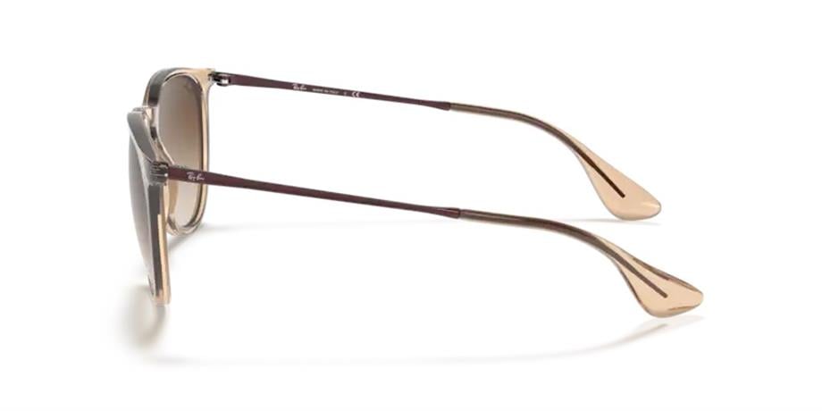 Rayban RB 4171 651413 54 Erika Unisex Güneş Gözlüğü