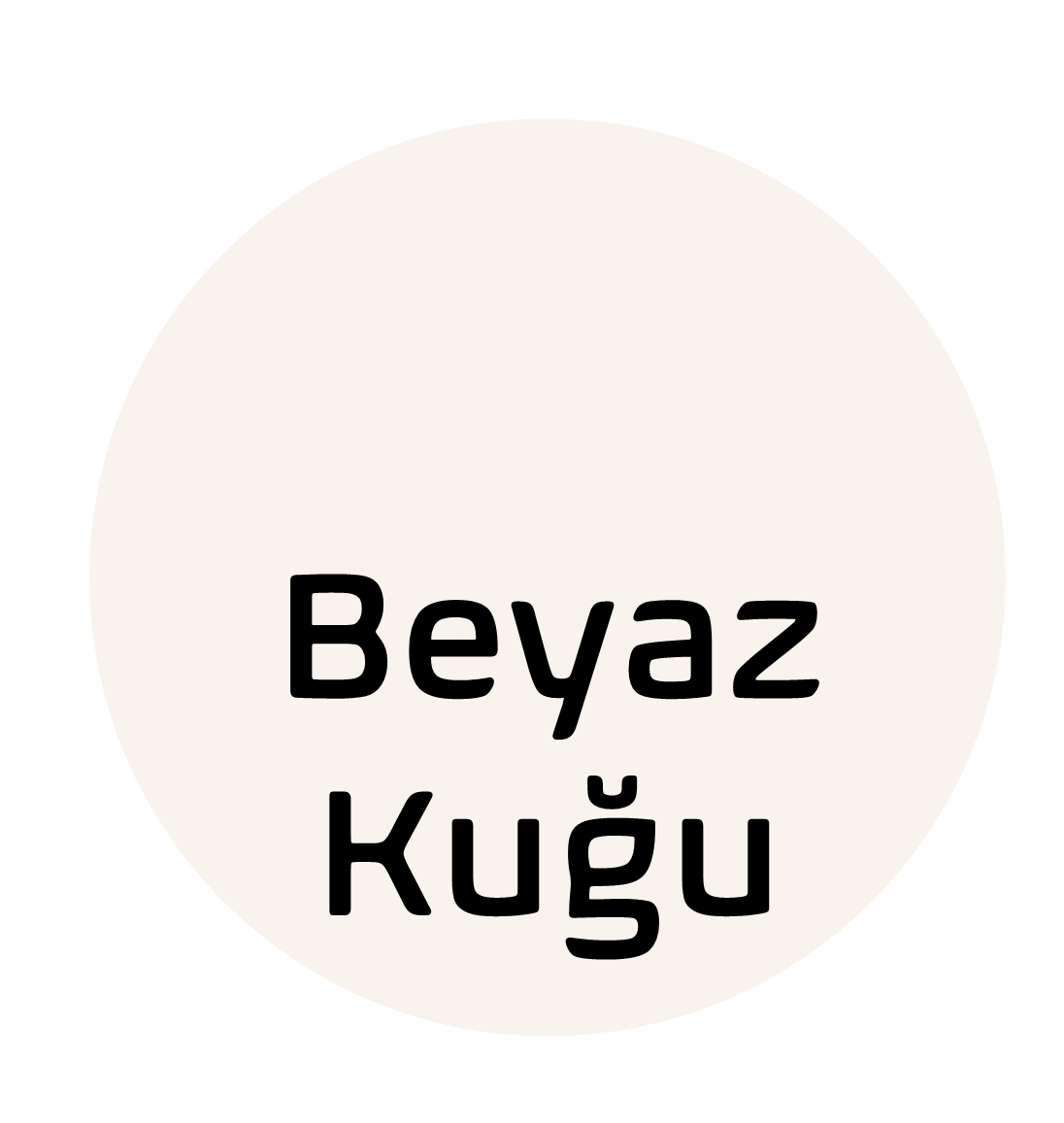 Piktura Akrilik Multisurface Boya