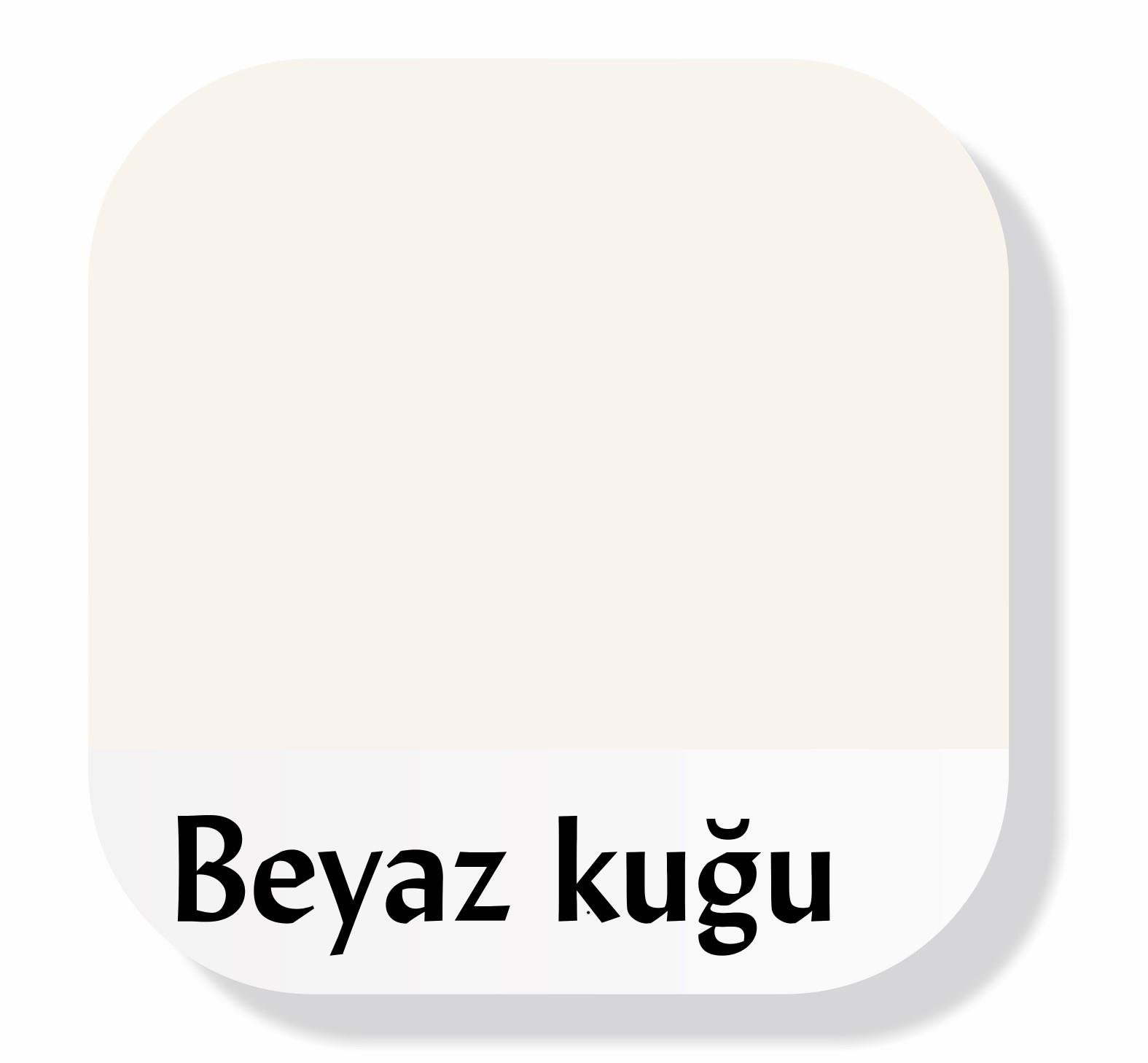Piktura Akrilik Multisurface Boya Beyaz Kuğu