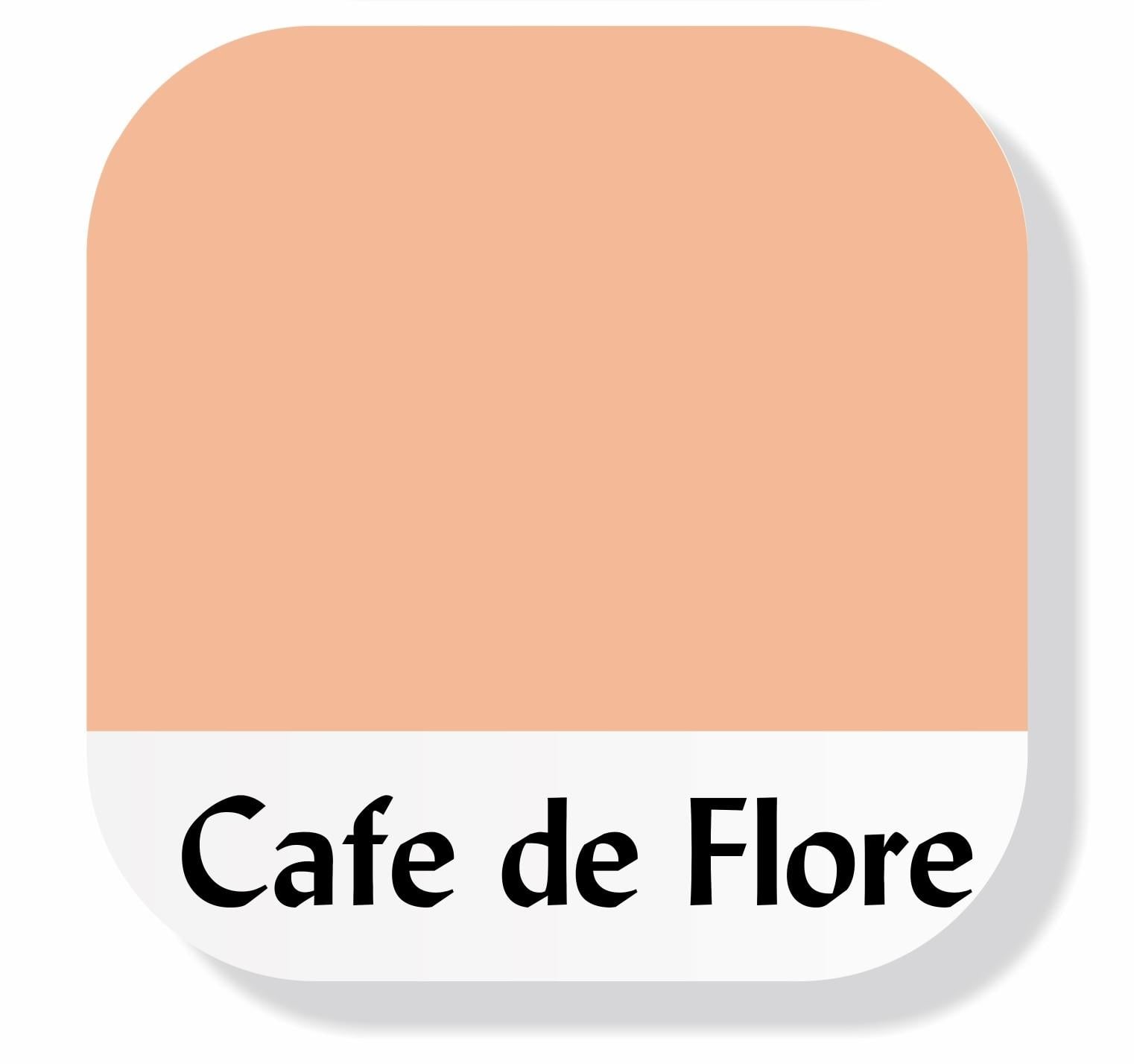 Piktura Akrilik Multisurface Boya Cafe de Flore
