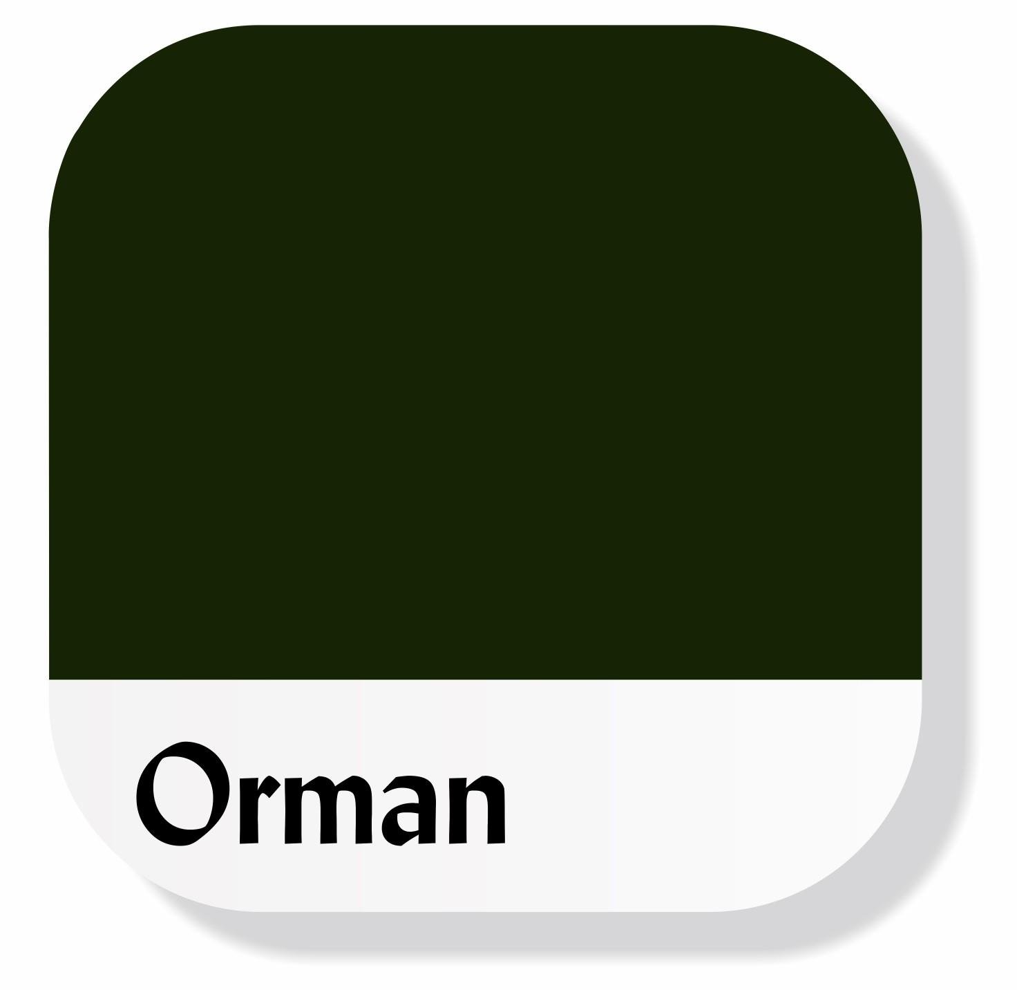 Piktura Akrilik Multisurface Boya  Orman