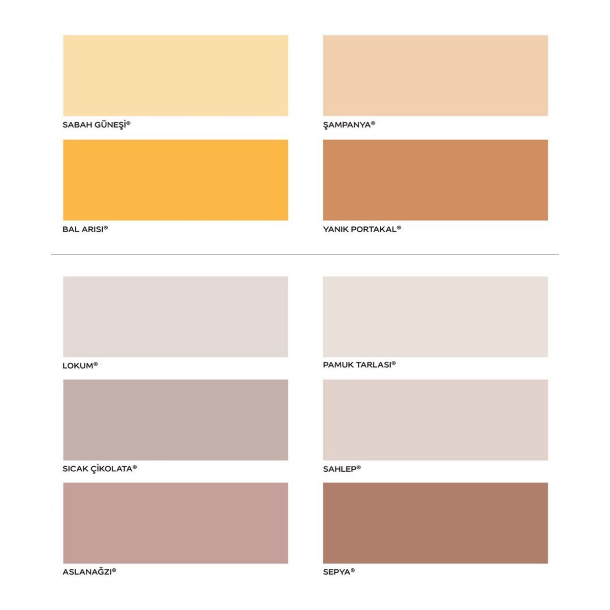 Marshall Pastel  Mat  İç Cephe Boyası