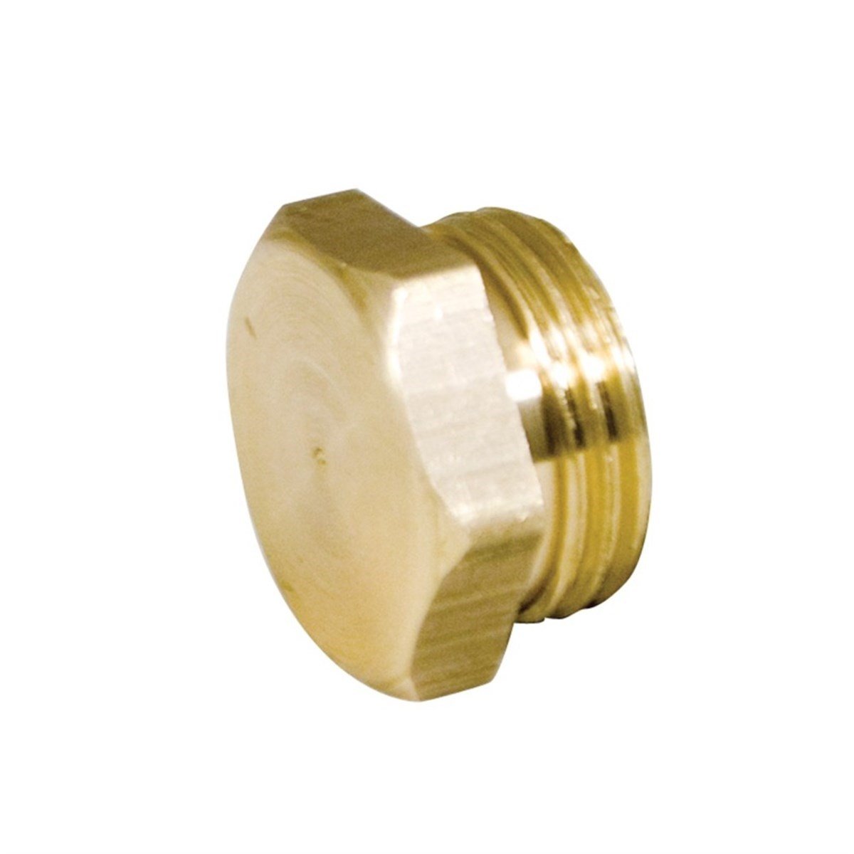 Sarı Dış Diş Körtapa 1/2