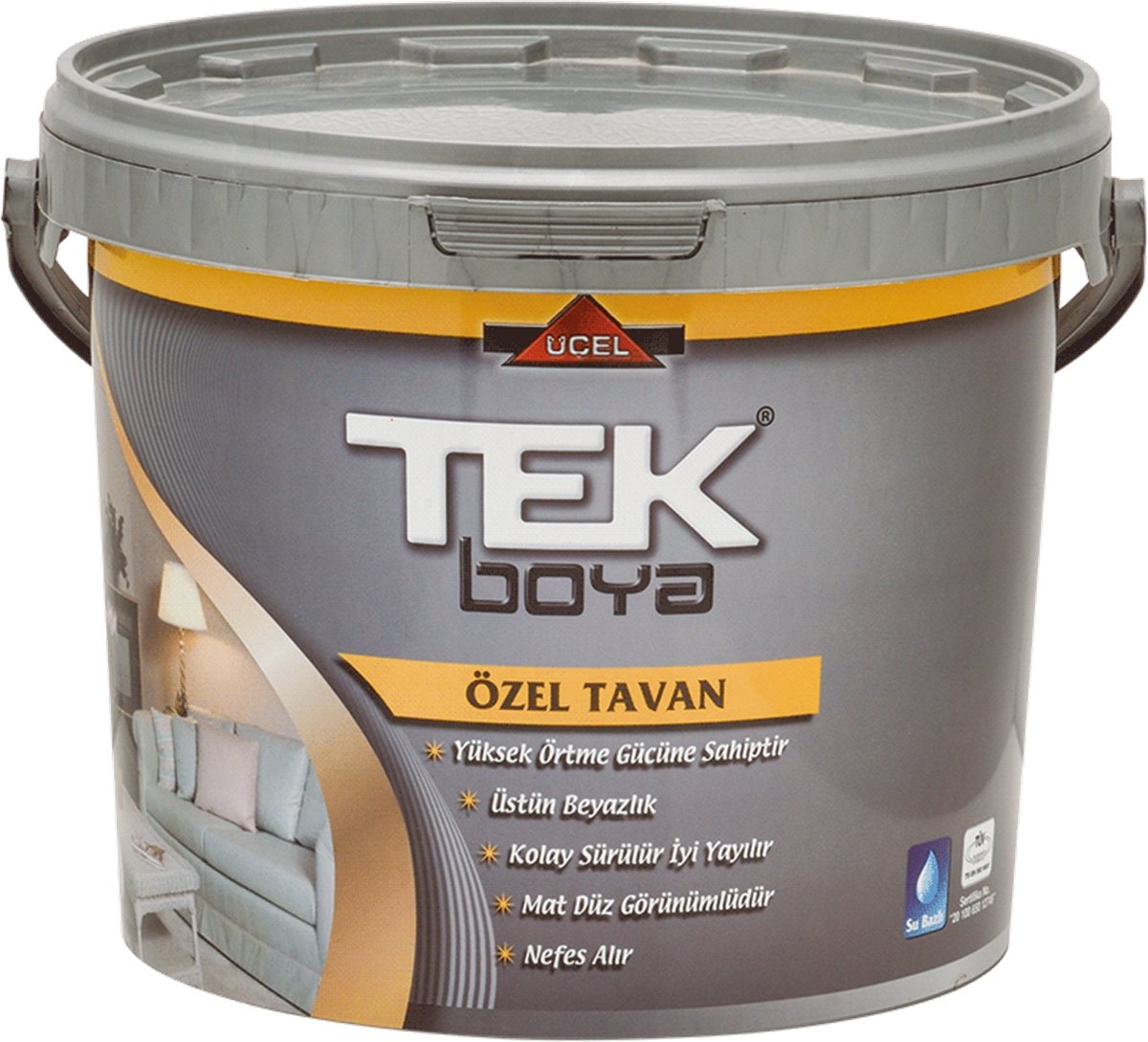 Tek Tavan Plastik Boya