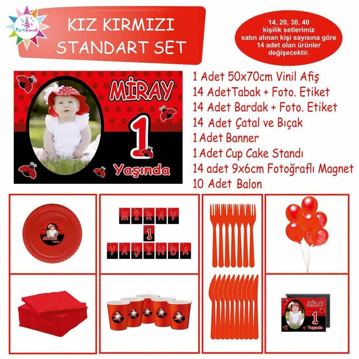 Siyah Kırmızı Uğur Böceği Konsept Standart Set 